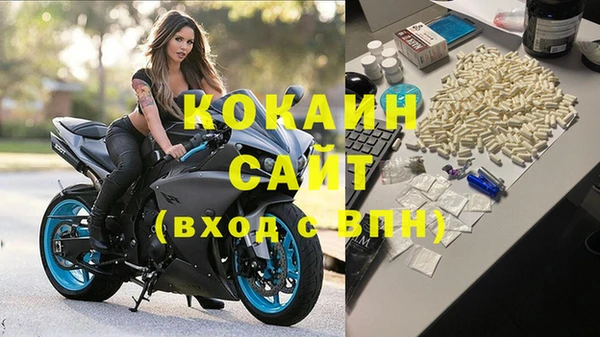 шишки Киреевск