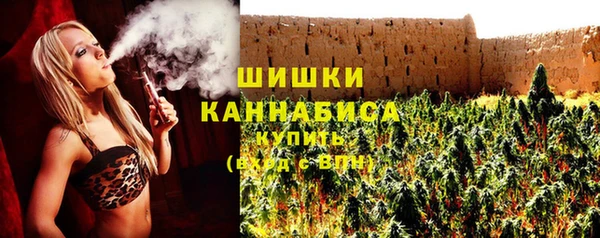 молекула духа Кинешма