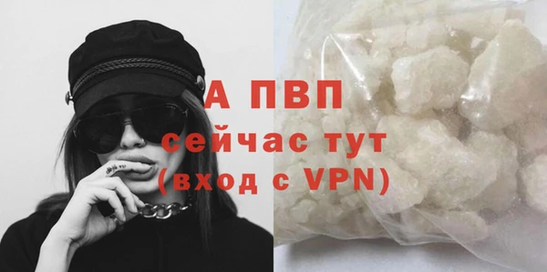 молекула духа Кинешма