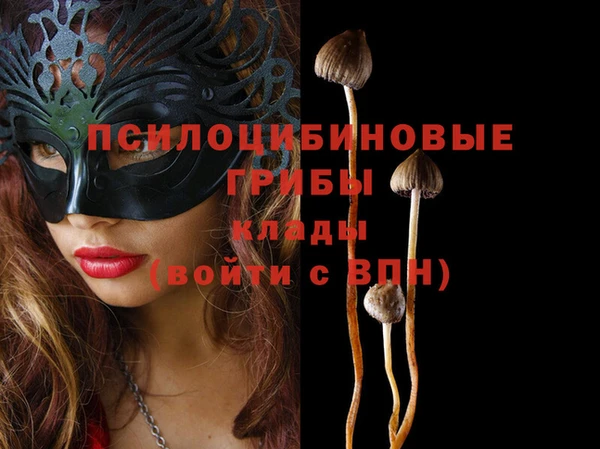 шишки Киренск