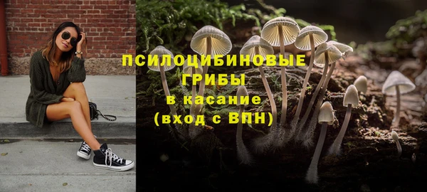 молекула духа Кинешма