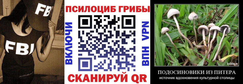 Купить  Заволжск  Псилоцибиновые грибы Magic Shrooms 